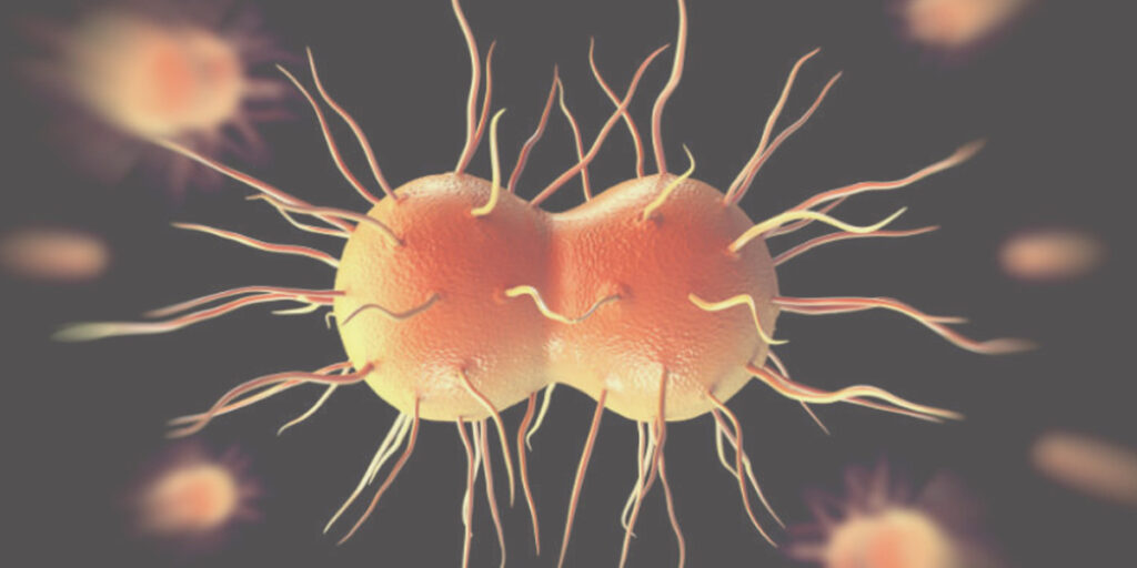 why is gonorrhea called the clap