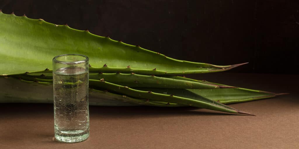 home remedies for genital warts