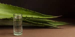 home remedies for genital warts